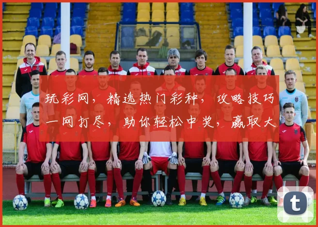 玩彩网，精选热门彩种，攻略技巧一网打尽，助你轻松中奖，赢取大奖
