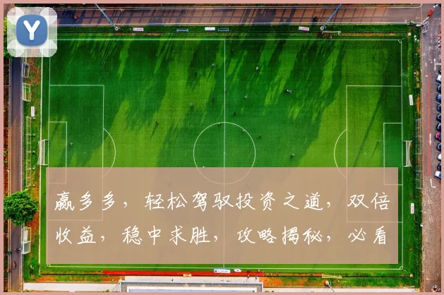 赢多多，轻松驾驭投资之道，双倍收益，稳中求胜，攻略揭秘，必看攻略