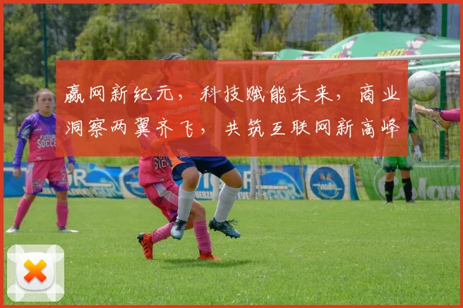 赢网新纪元，科技赋能未来，商业洞察两翼齐飞，共筑互联网新高峰